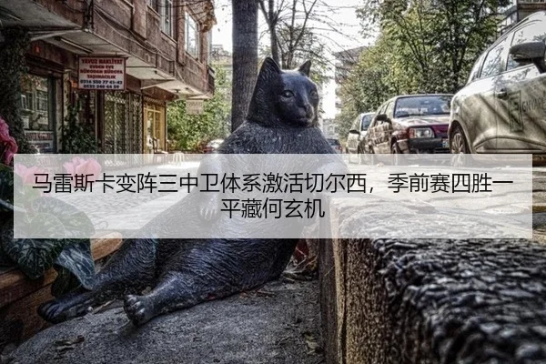 ma-lei-si-ka-bian-zhen-san-zhong-wei-ti-xi-ji-huo-qie-er-xi-ji-qian-sai-si-sheng-yi-ping-cang-he-xuan-ji-2-152.jpg